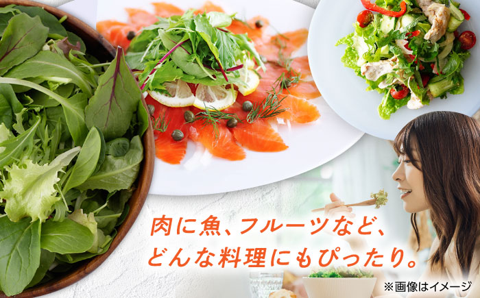 有機野菜 ベビーリーフ (100g×5パック) お米 2kg 計2.5kgセット 山都町産 産地直送 高原野菜 JAS【株式会社 清和ミネラル会】[YBT001]
