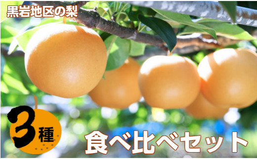 
                  <2026年 秋発送>　佐川の梨 3種食べ比べ（豊水梨・新高梨・あきづき梨） 
                