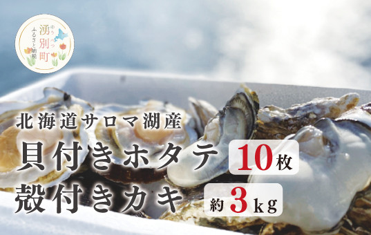 
            [№5930-0244]≪先行予約2025年11月から発送≫北海道サロマ湖産　貝付きホタテ10枚・カキ約3kg　ほたて　帆立　刺身　牡蠣　かき　海鮮　魚介　殻付き　貝付き　冷蔵　サロマ湖　オホーツク　おほーつく　湧別町　北海道
          