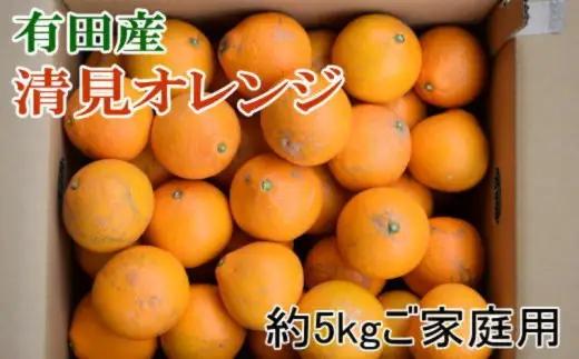 【濃厚】有田産清見オレンジ 5kg (サイズおまかせまたは混合) ご家庭用　※2027年3月上旬～3月下旬頃発送予定（お届け日指定不可） / みかん オレンジ 和歌山 有田みかん 柑橘 フルーツ 果物【tec011-c-5】