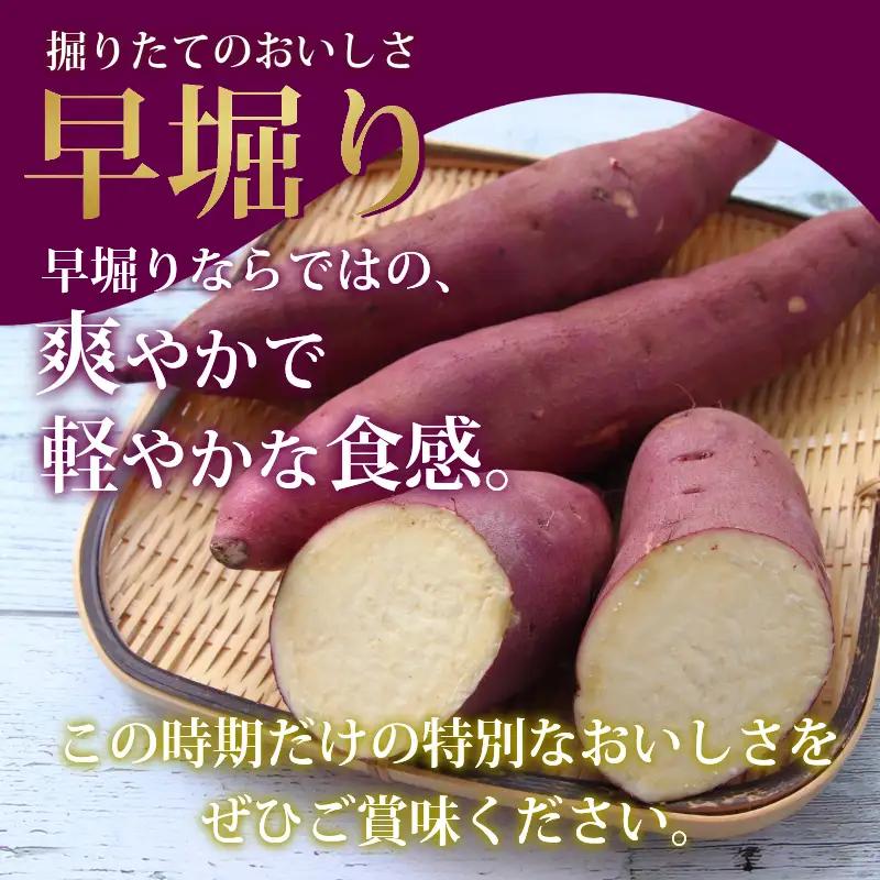訳あり なると金時 5kg 早掘り さつまいも 鳴門金時