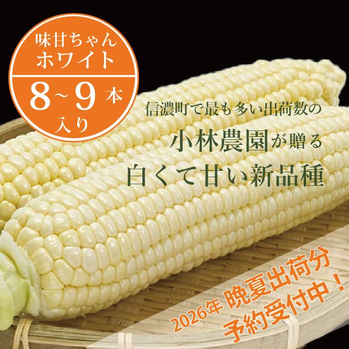 2026年夏の予約受付開始！小林農園の白くて甘いとうもろこし『味甘ちゃんホワイト（みかんちゃんほわいと）』8～9本セット　令和8年9月～出荷予定【長野県信濃町ふるさと納税】
