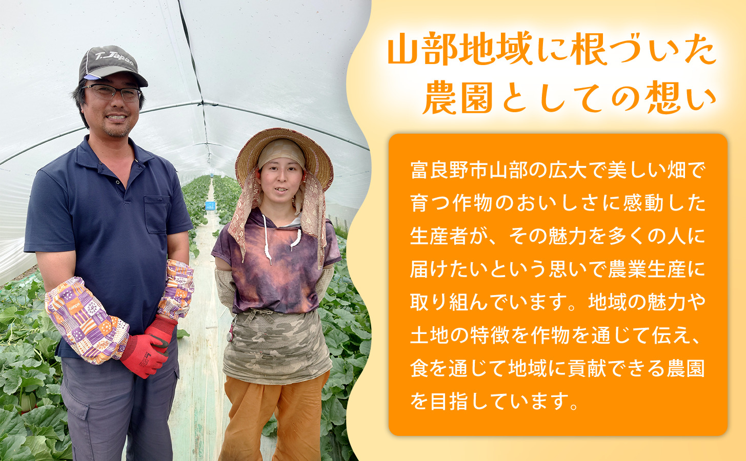 【定期便2ヵ月】秋の味覚 北海道産 小玉カボチャ 坊ちゃんカボチャ 無選別 10kg×1箱 全2回｜北海道富良野市 9～10月発送 野菜 料理用 家庭用 シェア用 ホクホク 濃厚 甘い 黒皮カボチャ 