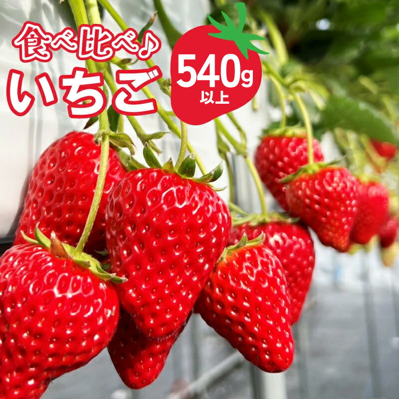 【ふるさと納税】【先行予約】 いちご 食べ比べ 2パック 540g以上 完熟新鮮イチゴ 最新の環境制御システム 泉佐野市で栽培 品種 その時期に一番おすすめの品種 国産 フルーツ 果物 冷蔵 お取り寄せ お取り寄せフルーツ 関西 大阪 泉佐野市 送料無料