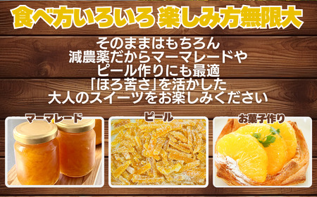 訳あり 甘夏 8kg サイズ ミックス 8000円 ご家庭用 送料無料 産地直送 農家直送 減農薬 栽培 フルーツ 果物 柑橘 あまなつ 旬の味覚 爽やか 香り 甘酸っぱい ほろ苦い 大人 の 味 マ