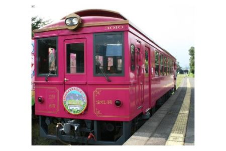 貸切列車 オリジナルヘッドマーク付き【1往復】1日1組限定