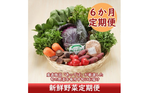 
＜12月中旬発送＞新鮮野菜6か月定期便！産直施設「あっでば」直送（入金期限：2024.11.25）
