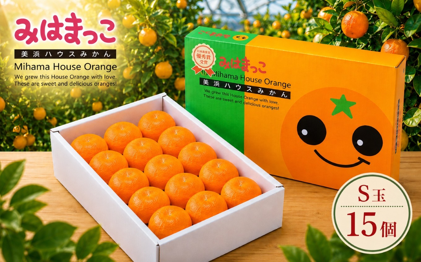 
                  みはまっこ （S玉/15個） 平詰化粧箱 | みかん オレンジ 果物 くだもの フルーツ ふるーつ 果実 季節限定 先行予約 旬 人気 おすすめ 愛知県 美浜町
                