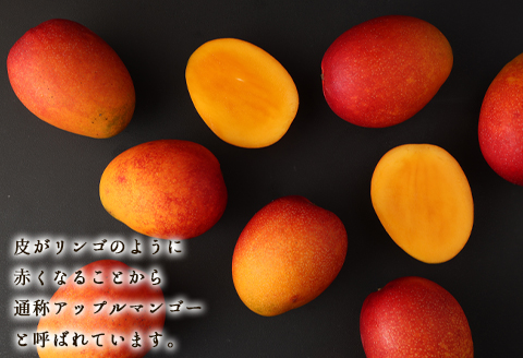 【2024年8月上旬発送開始】 徳之島 天城町産 宝果樹園 完熟マンゴー ご家庭用 1kg