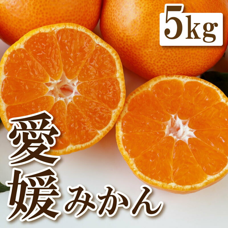【ふるさと納税】 先行予約 愛媛 みかん 蜜柑 5kg 8000円 みかん 蜜柑 オレンジ 愛媛 温州みかん こたつ みかん 蜜柑 ミカン 国産 農家直送 糖度 期間限定 数量限定 特産品 ギフト 贈答 プレゼント 人気 限定 甘い フルーツ 果物 柑橘 ビタミン 愛媛県 愛南町 ひなたのみかん