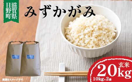 【令和7年産】 新米 みずかがみ 玄米 20㎏ ( 10㎏ × 2袋 ) 