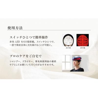 ふるさと納税 岐阜県 ヘアリプロ LED プレミアム(オリエンタルブルー) 日本製 美顔器 高級 ハイスペック |  | 02