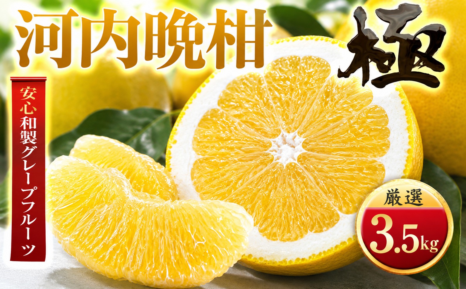 
                  ＜太陽をたっぷり浴びた＞河内晩柑＜極＞3.5kg＜C49-60＞_みかん ミカン 柑橘 果物 晩柑 くだもの フルーツ 甘い 希少 愛媛 デザート 愛媛みかん 和製グレープフルーツ 極 ジューシー 果汁たっぷり ブランド 厳選 【1509763】 YWTZ052
                