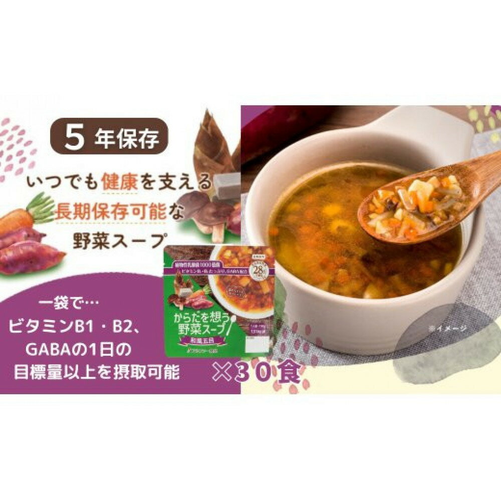 【ふるさと納税】【からだを想う野菜スープ】和風五目30食セット/レトルト/食物アレルギー対応/長期保存/防災食 | 野菜スープ 食物繊維 植物性乳酸菌 ビタミン GABA ギャバ 常温 ヴィーガン VEGAN ベジタリアン 健康 栄養 備蓄 非常食 そのまま食べられる すぐ食べれる