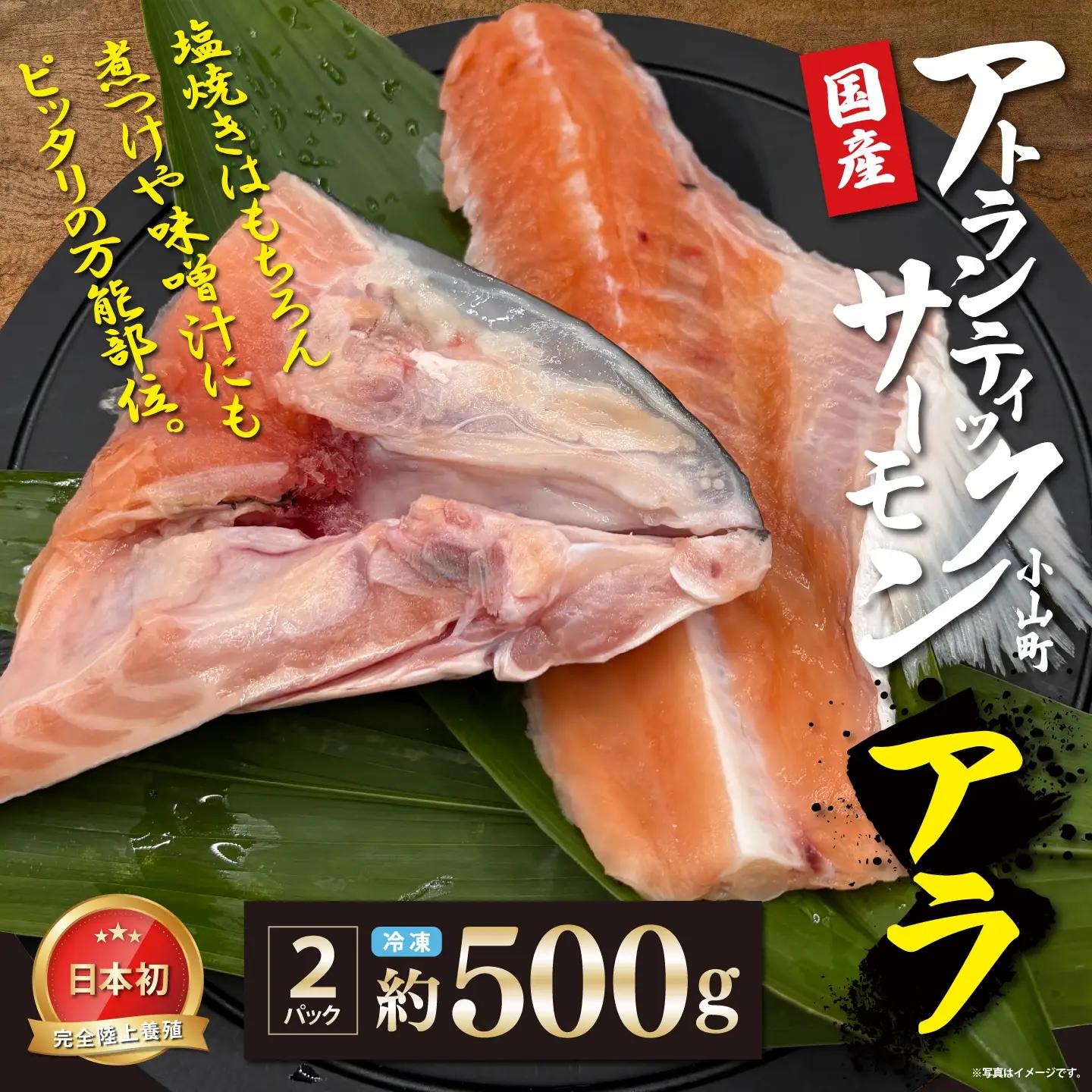 小山町産 アトランティックサーモン アラ×2P 約500g 国産サーモン