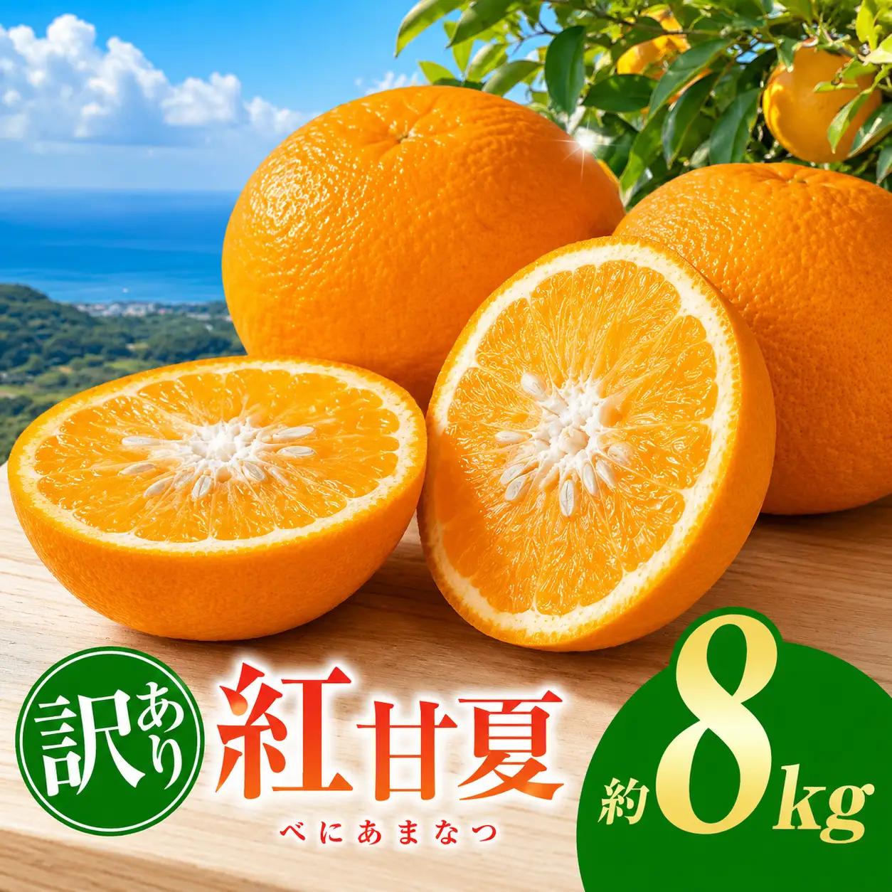 訳あり 紅甘夏 約 8kg | 甘夏