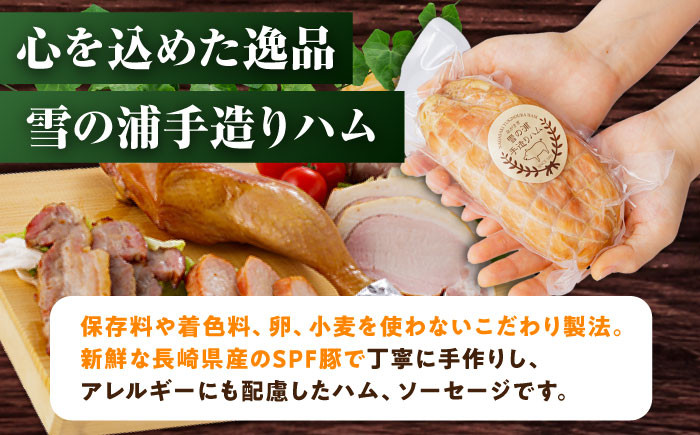 ハム おつまみ 詰合せ 詰め合わせ 冷凍 セット 定期便 定期 毎月