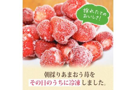 ＜予約受付中！2025年1月より順次発送予定＞冷凍あまおう(計2kg・1kg×2袋)  いちご イチゴ 苺＜離島配送不可＞【ksg0438】【うるう農園】