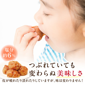 【1092-4】紀州南高梅つぶれ梅 はちみつ風味1.6kg