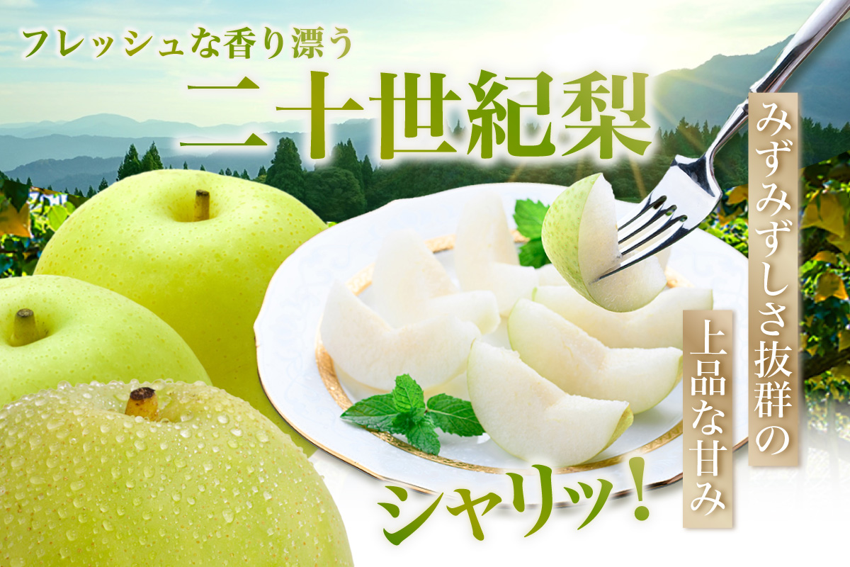 《2026年産 先行予約》 梨 二十世紀梨 香住梨 3kg ご自宅用 優品（Bランク）L～5Lサイズ混合6～10玉 【令和8年8月下旬以降発送予定】 20世紀梨 青梨 和梨  76-03