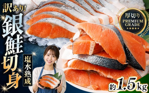 【 訳あり 】 プレミアムグレード 塩水熟成 厚切り 銀鮭切身 約1.5kg 【2026年10月発送】銀鮭 鮭 サケ さけ シャケ 魚介 魚介類 魚 魚類 海鮮 おかず 晩酌 小分け 冷凍