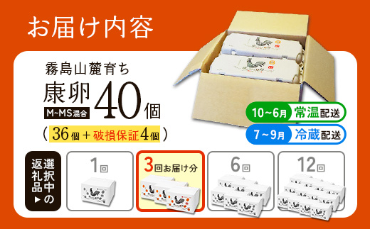 【ふるさと納税】卵【3回 定期便】霧島山麓育ち こだわり卵 康卵 計40個（36個 + 割れ保証4個）3回 計 120個(108個 + 割れ保証 12個) たまご 玉子 卵焼き 玉子焼き たまご焼き 生卵 鶏卵 たまごかけごはん 国産 九州産 宮崎県産 送料無料