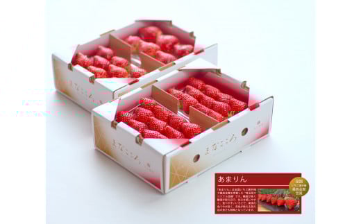 【先行予約】あまりん【4パック×260g】まなこころ・葵