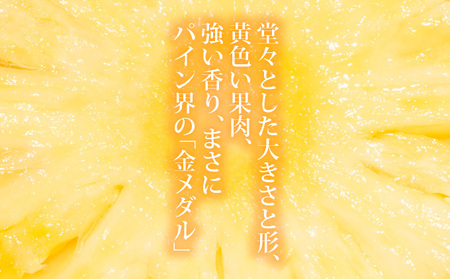 【先行予約】石垣島産 中玉 黄金パイン ２玉 合計約2.6kg《2025年夏季 順次発送》【 産地直送 沖縄 石垣 フルーツ パイナップル パイン 黄金パイン 】 SI-120