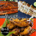 【ふるさと納税】うなぎ 肝たれ焼きのセット 蒲焼き 白焼き / 和歌山 田辺 鰻 うな丼 うな重 国産 鰻丼 かば焼き 肝たれ焼き 肝