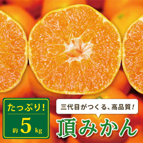 【ふるさと納税】三代目がつくる高品質【頂みかん】2kg / 3kg / 5kg / 10kg サイズおまかせ_ みかん 蜜柑 愛媛みかん 愛媛 国産 農家直送 産地直送 柑橘 かんきつ 温州みかん 旬 フルーツ 果物 くだもの【G1042516】