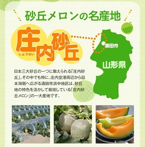 SA2930　庄内砂丘 『アンデスメロン』　約5kg(青肉/3～5玉入)