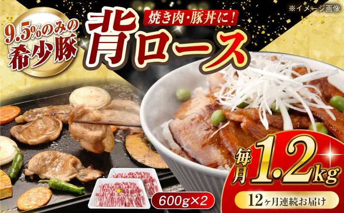 
            【月1回約1.2kg×12回定期便】大西海SPF豚 背ロース（焼肉用）計約14.4kg 長崎県/長崎県農協直販 [42ZZAA075]
          