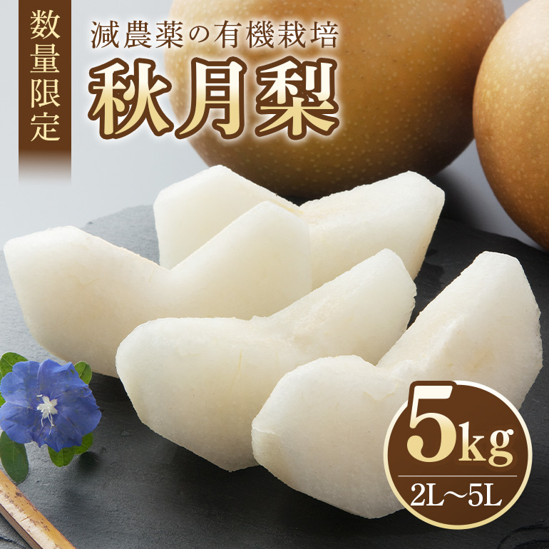 【数量限定・期間限定】 秋月 5kg 2L～5L 11～16玉 【9月10日～10月末発送予定】 70-D