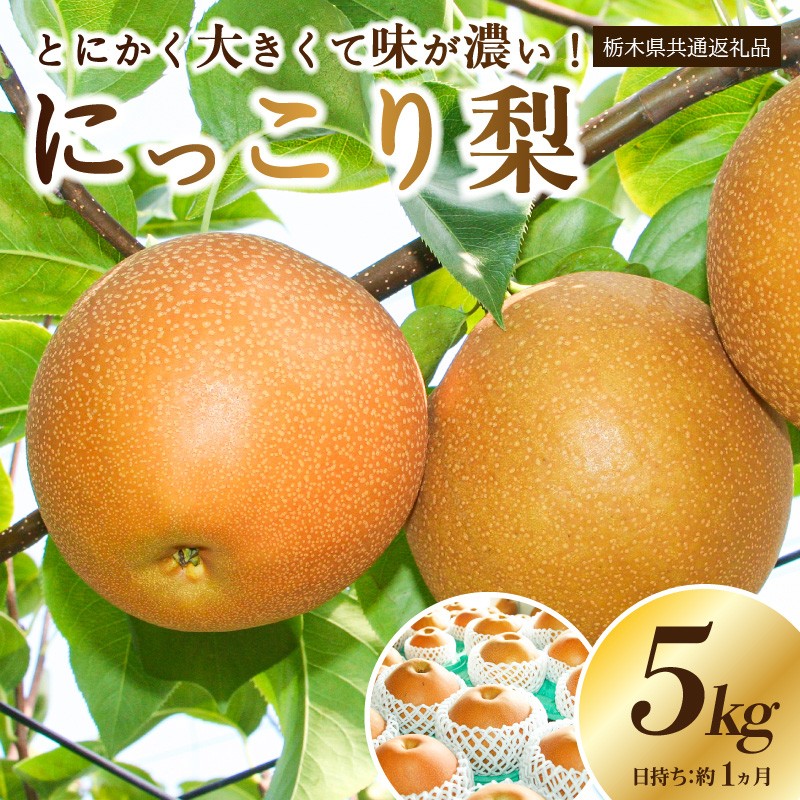 
            【栃木県共通返礼品】 JAなすの産 梨 にっこり 5kg〔P-391〕※北海道・沖縄・離島への配送不可 ※2025年10月上旬～10月下旬頃に順次発送予定
          