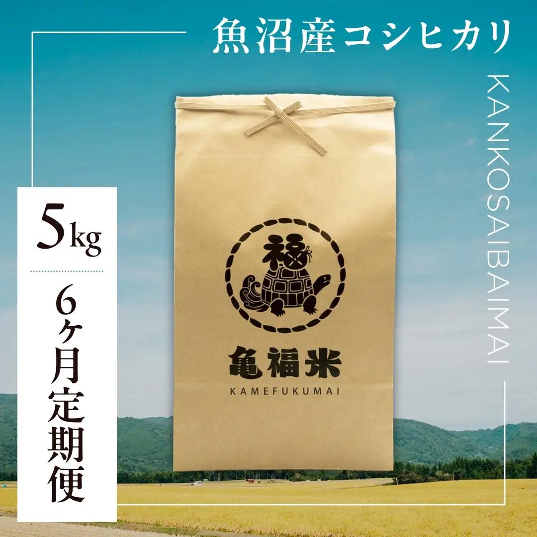 6ヶ月定期便 魚沼産コシヒカリ 亀福 慣行栽培 5kg | 津南町 魚沼 令和7年