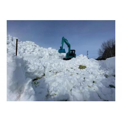 ふるさと納税 妙高市 雪下キャベツ【新潟県妙高市】 |  | 01