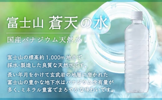 【12カ月定期便】＜ラベルレス＞富士山蒼天の水 500ml×48本（２ケース） YC007_イメージ2