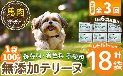 a1087-G 【3回定期便】＜保存料・着色料 不使用＞愛犬用無添加テリーヌ レトルトパック 馬テリーヌ6袋×3回(1袋約100g・合計約1.8kg)【Nフードサービス】姶良市 馬 テリーヌ 犬 ドッグ ペット フード エサ レトルト おやつ ごはん ご飯 間食 ご褒美