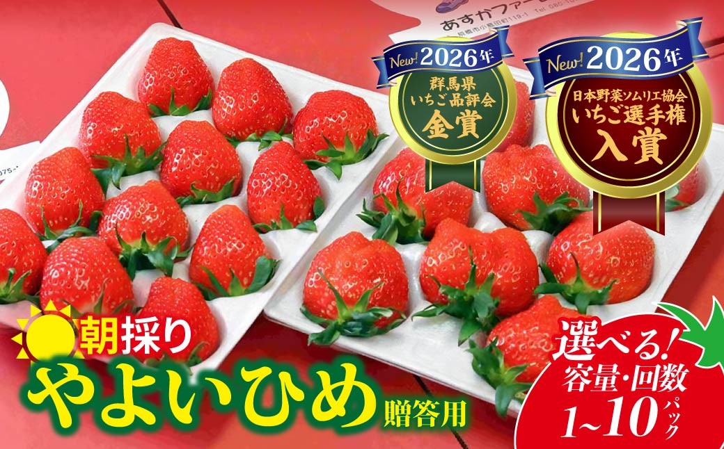 
                  いちご やよいひめ 2026年全国いちご選手権入賞 選べる容量 | イチゴ 定期便 苺 高品質 たっぷり 新鮮 完熟 旬 ストロベリー 高級 産地直送 果汁 甘い あまい 人気 高評価 高糖度 ごほうび プレゼント 群馬県 前橋市
                