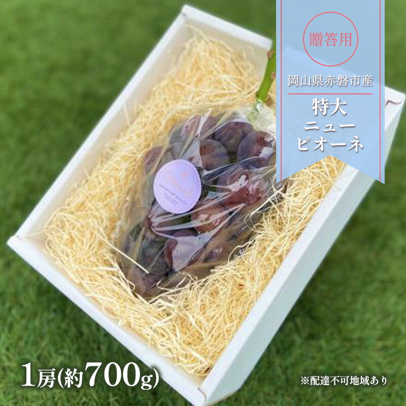 【ふるさと納税】ぶどう 2026年 先行予約 贈答用 特大 ニューピオーネ 1房(約700g) ブドウ 葡萄 岡山県 赤磐市産 フルーツ 果物 ギフト 　お届け：2026年8月中旬～2026年9月中旬