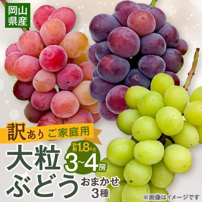 【2025年10月より発送】訳あり大粒ぶどう3種セット(シャインマスカット・ピオーネ等3種おまかせ)【1244678】