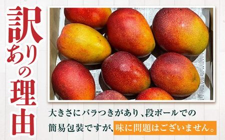 マンゴー 完熟 マンゴー[訳あり 宮崎 1.2kg]