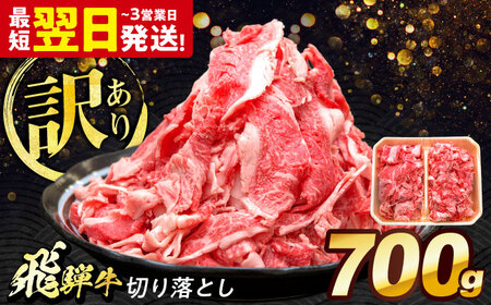 飛騨牛 切り落とし 700g 多治見市 / 養老ミート 冷凍 赤身 和牛 訳あり ギフト[THG001]