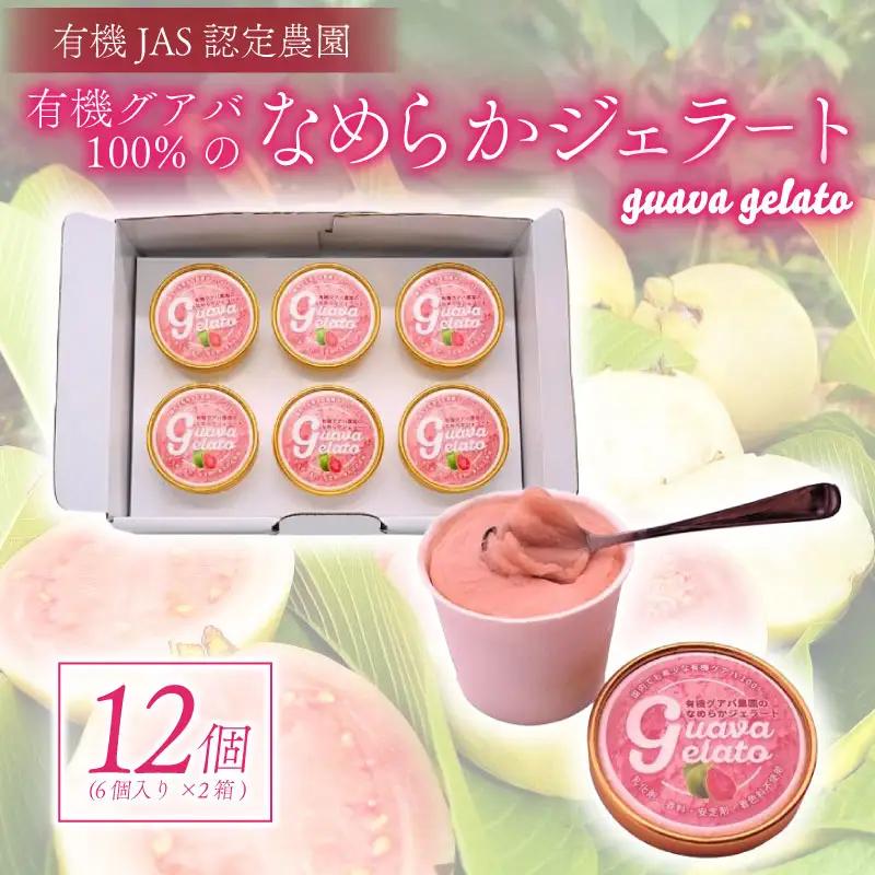 有機グアバ農園のなめらかジェラート 計12個  アイスクリーム ジェラート