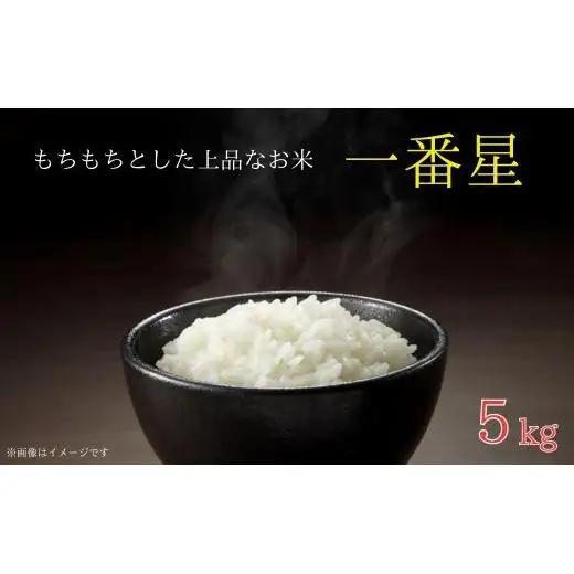 	《 令和7年産 》米 もちもちで上品な食感「一番星」精米5kg ／ 米 こめ コメ お米 おこめ 一番星 白米 ごはん 令和7年産 5kg 茨城県 利根町 送料無料