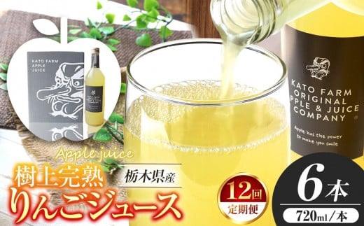 【定期便12回】栃木県矢板市産 樹上完熟100％りんごジュース 720ml×6本入  | 林檎 リンゴ 果汁100% 産地直送 (毎月お届け）