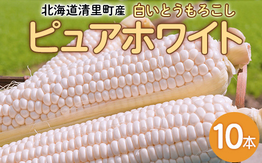 【先行予約】清里町産 白いとうもろこし ピュアホワイト 10本（令和7年9月1日より発送） 【 ふるさと納税 人気 おすすめ ランキング とうもろこし トウモロコシ コーン ピュアホワイト 白い 甘い 野菜 10本 生 北海道 清里町 送料無料 】 KYSL001