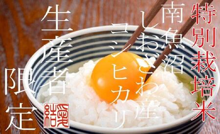 【令和7年産】【定期便2Kg×3ヶ月】【特別栽培米】 契約生産者限定  南魚沼しおざわ産コシヒカリ【2025年10月上旬より順次発送予定】
