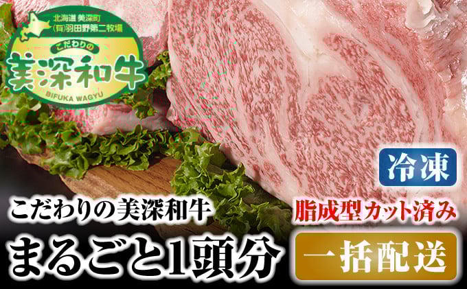 
[№5894-0253]北海道 こだわりの美深和牛1頭分 成型脂カットあり（冷凍）
