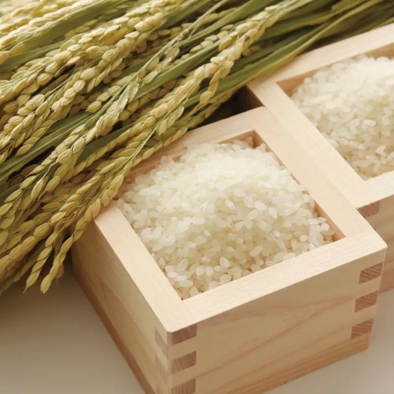 紀州のお米(未検査米)10kg (2026年産) 産地直送 米 こめ ご飯 ごはん【sml918】